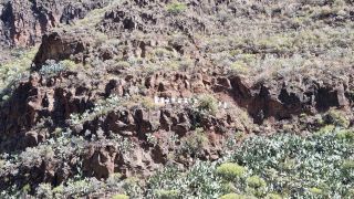 2023-04-GranCan-Guayadeque-019.jpg